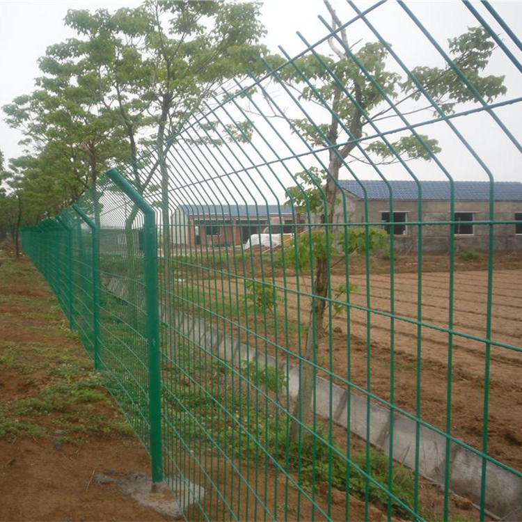 铁丝围栏网,双边丝围栏网案例展示图片4